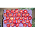 Hotsale manzana estrella roja dulce y crujiente